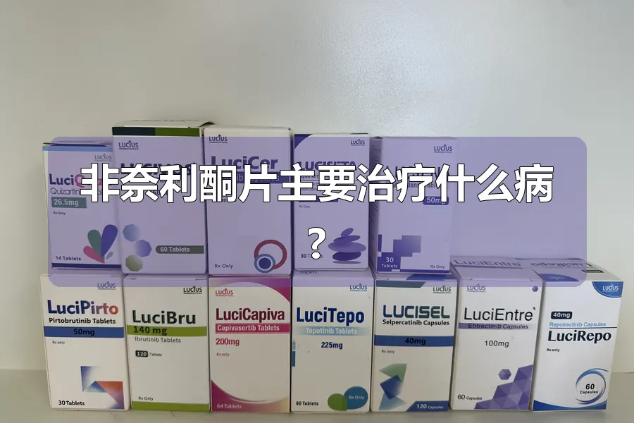 非奈利酮片主要治疗什么病?
