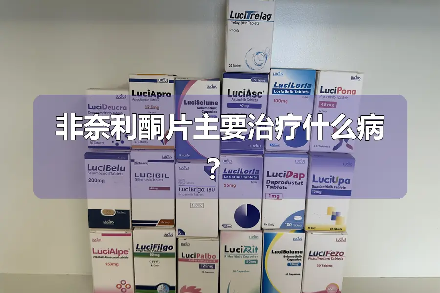 非奈利酮片主要治疗什么病?
